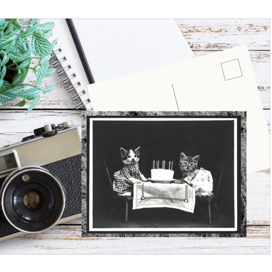 ヴィンテージ2匹とお誕生日ケーキ ポストカード