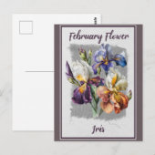 ヴィンテージ2月の花 アイリス フラワー ポストカード (正面/裏面)