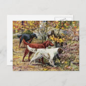 ヴィンテージ3アイリッシュセッター ポストカード (正面/裏面)