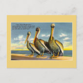 ヴィンテージ3マスケット銃士のペリカンのフロリダからの ポストカード (正面)