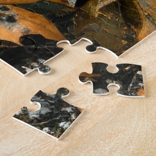 ヴィンテージ3個のアライグマとカボチャ秋20x30 ジグソーパズル (側面)