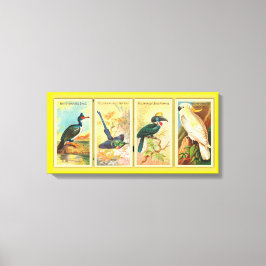 ヴィンテージ4つの熱帯鳥が1つのイラストレーション キャンバスプリント