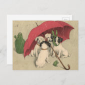 ヴィンテージ4犬傘はがき ポストカード (正面/裏面)