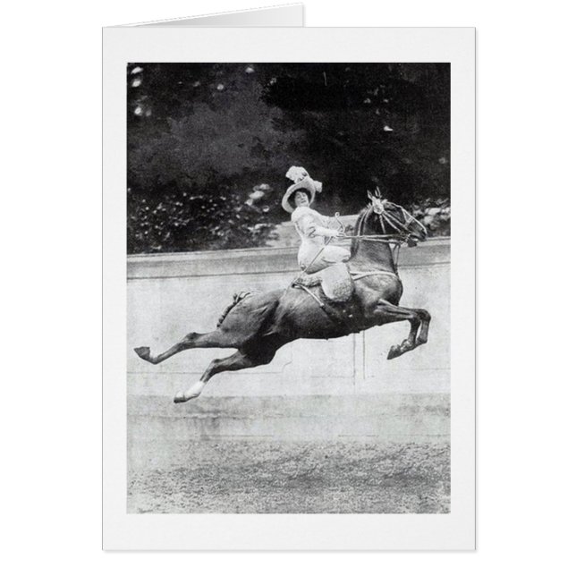 ヴィンテージ、あの高い馬に気をつけなさい。 (正面)