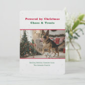 ヴィンテージ かわいい おもしろい 犬 ペット 写真 クリスマス (スタンド正面)