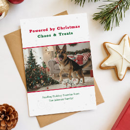 ヴィンテージ かわいい おもしろい 犬 ペット 写真 クリスマス