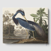 ヴィンテージ アウドゥボン ルイジアナサギ 鳥 アート ゲストブック (裏面)