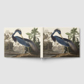 ヴィンテージ アウドゥボン ルイジアナサギ 鳥 アート ゲストブック (全面)
