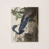 ヴィンテージ アウドゥボン ルイジアナサギ 鳥 アート ジグソーパズル (縦)