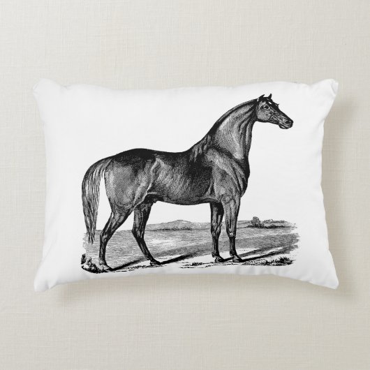 ヴィンテージ アクセントクッション (正面)