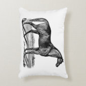 ヴィンテージ アクセントクッション (正面(垂直))