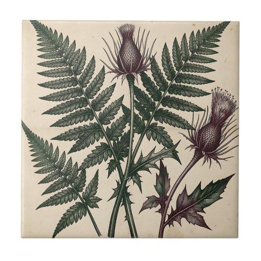 ヴィンテージ アザミとシダの植物画 タイル (正面)