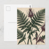 ヴィンテージ アザミとシダの植物画 ポストカード (正面/裏面)