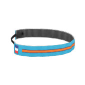 ヴィンテージ アスレチックヘッドバンド (左)