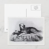 ヴィンテージ アメリカ郵便犬 写真 ポストカード (正面/裏面)
