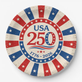 ヴィンテージ アメリカ 250 パーティープレート 愛国的なUSA 1776 ペーパープレート