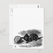 ヴィンテージ アリスインワンダーランド 黒猫 書籍の挿絵 ポストカード (正面/裏面)