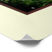 ヴィンテージ・アート、B.ミッチェル・ミルク・ジャグス ポスター (角)