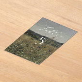 ヴィンテージ、インスパイア結婚のテーブル番号 アクリル招待状 (レイダウン)