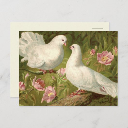 ヴィンテージ イースターの2羽の鳩とピンクのバラ ポストカード (正面/裏面)