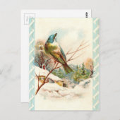 ヴィンテージ ウィンター ブルーバード ポストカード (正面/裏面)