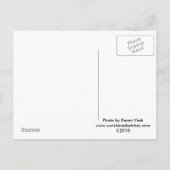 ヴィンテージ ウェディング ケーキ トッパー ポストカード (裏面)