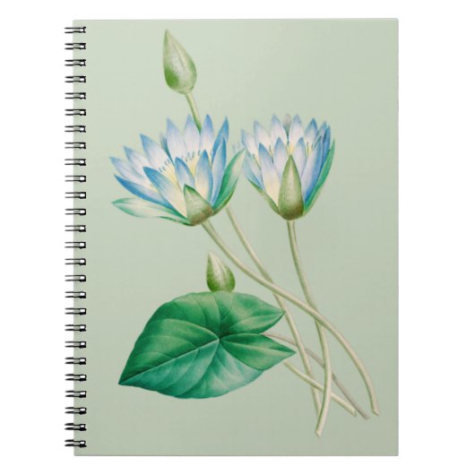 ヴィンテージ エジプト蓮の花 ノートブック (正面)