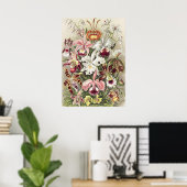 ヴィンテージ エルンスト・ヘッケルのオルキデア植物画 ポスター (ホームオフィス)