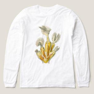 ヴィンテージ エルンスト・ヘッケル トライブレンドTシャツ