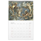 ヴィンテージ・エルンスト・ヘッケル、生物学、植物学、科学 カレンダー (1月 2016)