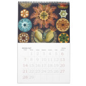 ヴィンテージ・エルンスト・ヘッケル、生物学、植物学、科学 カレンダー (2月 2016)