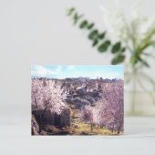 ヴィンテージ　オリーブの山　エルサレム　イスラエル　1950 - 77 ポストカード (スタンド正面)