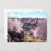 ヴィンテージ　オリーブの山　エルサレム　イスラエル　1950 - 77 ポストカード (正面/裏面)