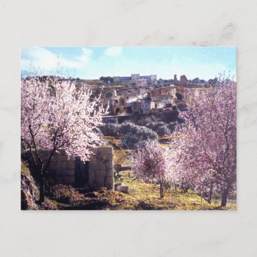 ヴィンテージ　オリーブの山　エルサレム　イスラエル　1950 - 77 ポストカード (正面)