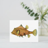 ヴィンテージ オレンジ色の魚 ポストカード (スタンド正面)