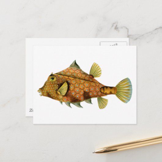 ヴィンテージ オレンジ色の魚 ポストカード (正面/裏面インサイチュ)