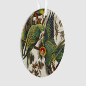 ヴィンテージ オーダボン カロライナインコ 鳥の芸術 オーナメント (正面)