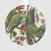 ヴィンテージ オーダボン カロライナインコ 鳥の芸術 オーナメント (裏面)