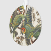 ヴィンテージ オーダボン カロライナインコ 鳥の芸術 オーナメント (正面)