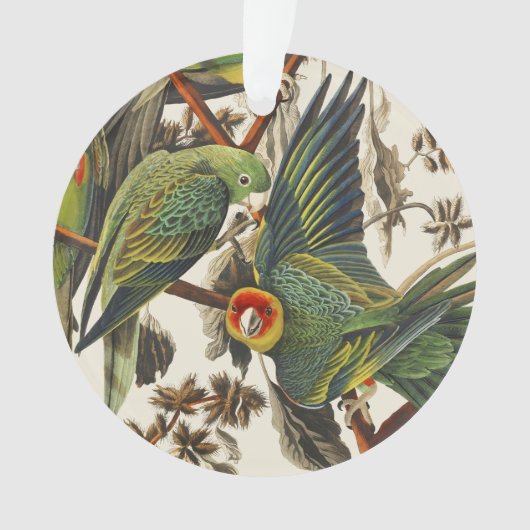 ヴィンテージ オーダボン カロライナインコ 鳥の芸術 オーナメント (正面)