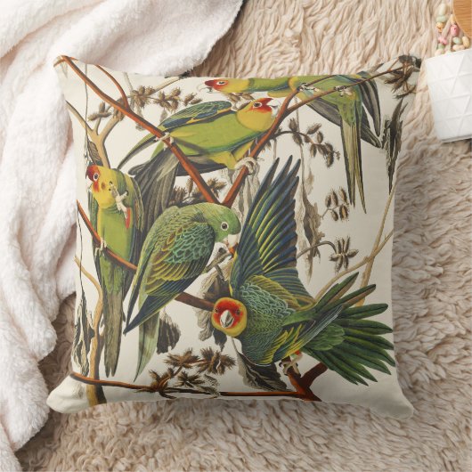 ヴィンテージ オーダボン カロライナインコ 鳥の芸術 クッション (ブランケット)