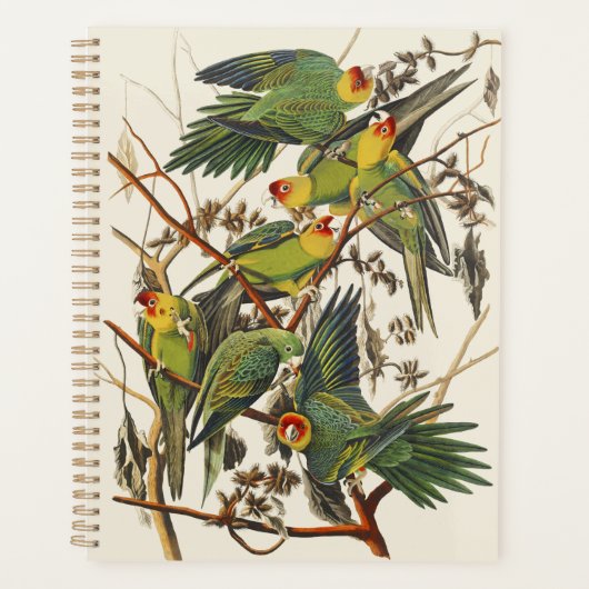 ヴィンテージ オーデュボン カロライナインコ 鳥の芸術 プランナー手帳 (正面)