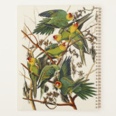 ヴィンテージ オーデュボン カロライナインコ 鳥の芸術 プランナー手帳 (裏面)