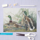 ヴィンテージ オーデュボン マガモ 野生生物アート 薄葉紙 (クラフト)
