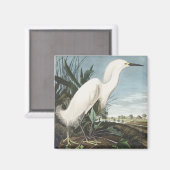 ヴィンテージ オーデュボン ユキコサギ 白鷺 鳥アート マグネット (正面/裏面)