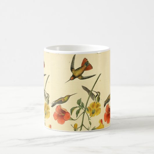 ヴィンテージ·オードゥボン·ルフス·ハミングバ絵画ードの贈り物 コーヒーマグカップ (中央)