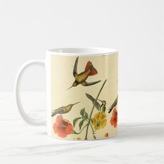 ヴィンテージ·オードゥボン·ルフス·ハミングバ絵画ードの贈り物 コーヒーマグカップ (左)
