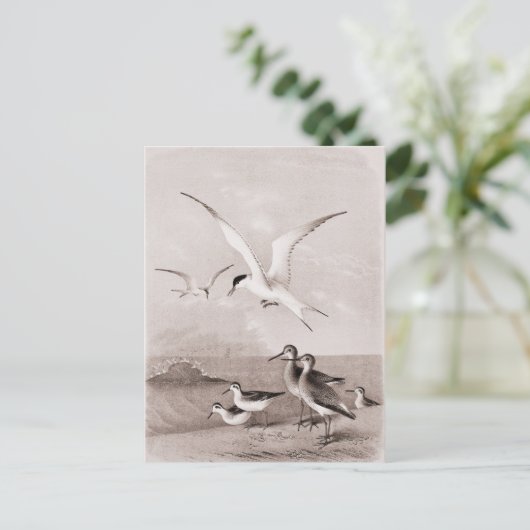 ヴィンテージ カモメ カスタマイズ レトロ カモメ テンプレート ポストカード (スタンド正面)