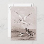 ヴィンテージ カモメ カスタマイズ レトロ カモメ テンプレート ポストカード (正面/裏面)