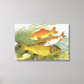 ヴィンテージ キンギョ コイ 魚, 海洋の水生生物 キャンバスプリント (正面)